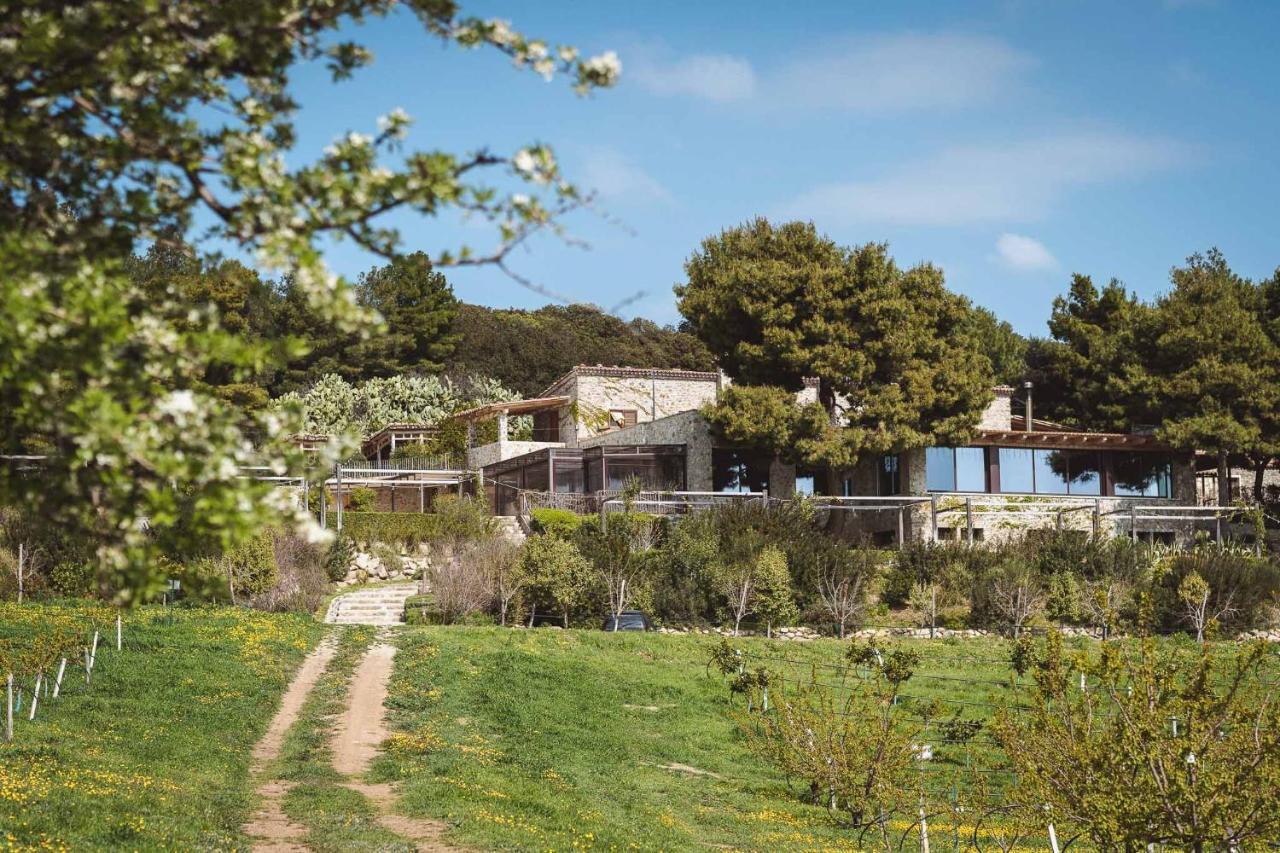 Masseria Agriturismo Torre Di Albidona 트레비사세 외부 사진