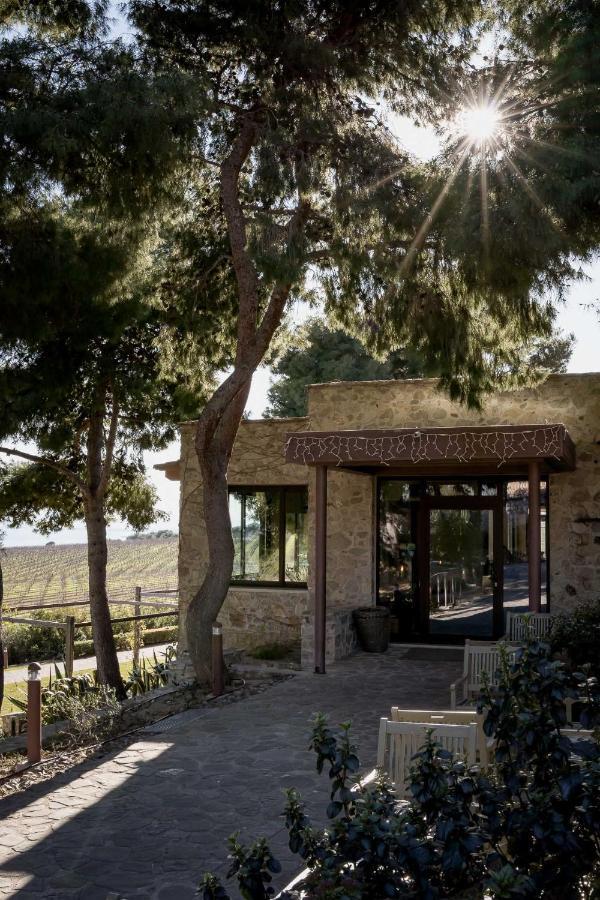 Masseria Agriturismo Torre Di Albidona 트레비사세 외부 사진