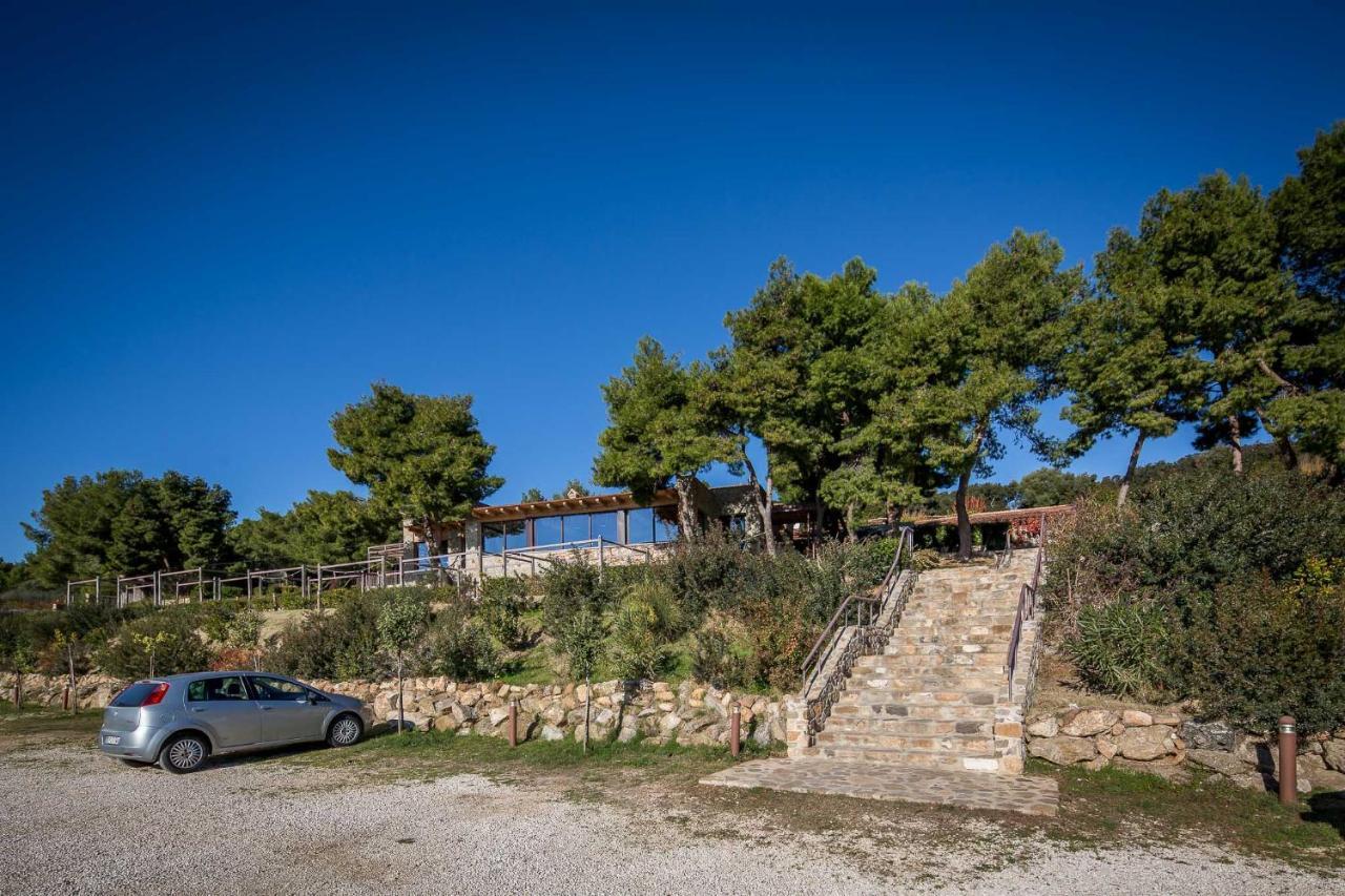 Masseria Agriturismo Torre Di Albidona 트레비사세 외부 사진