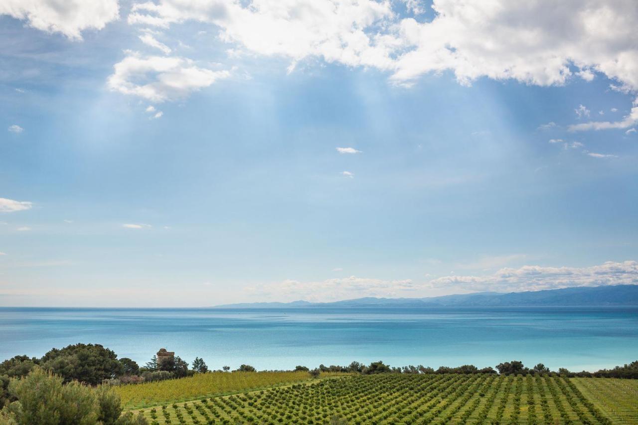 Masseria Agriturismo Torre Di Albidona 트레비사세 외부 사진
