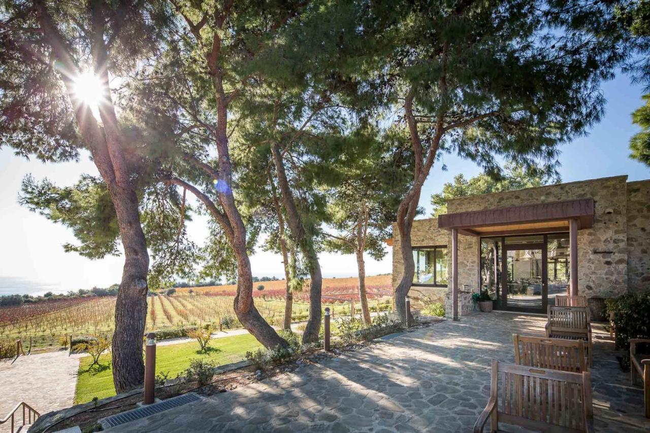Masseria Agriturismo Torre Di Albidona 트레비사세 외부 사진